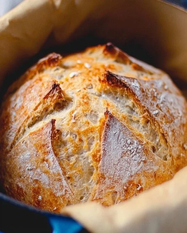 Dutch Oven No Knead Crusty Bread